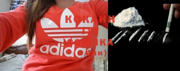 мескалин Няндома