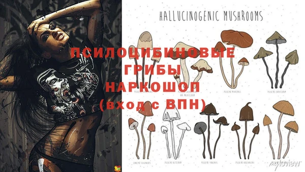 прущий лед Осинники