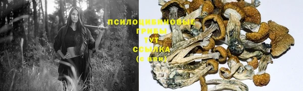 первитин Осташков