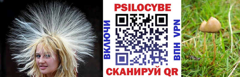 Галлюциногенные грибы MAGIC MUSHROOMS  закладки  Усть-Лабинск 