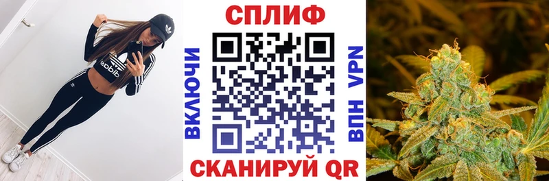 Конопля THC 21%  закладки  Усть-Лабинск 